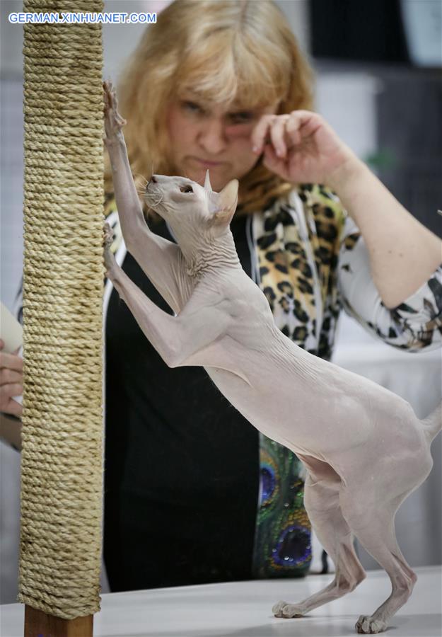 CANADA-VANCOUVER-CAT SHOW