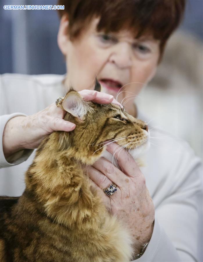 CANADA-VANCOUVER-CAT SHOW