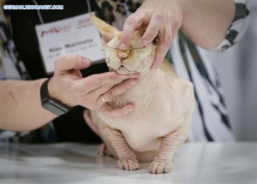 CANADA-VANCOUVER-CAT SHOW