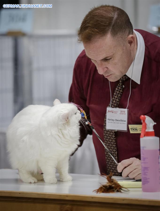CANADA-VANCOUVER-CAT SHOW