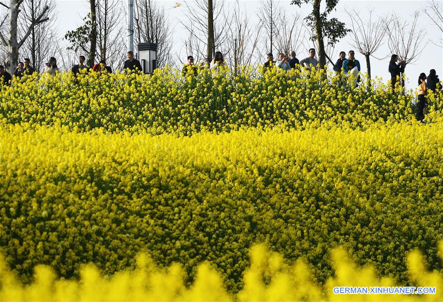 #CHINA-SPRING-FLOWERS (CN)