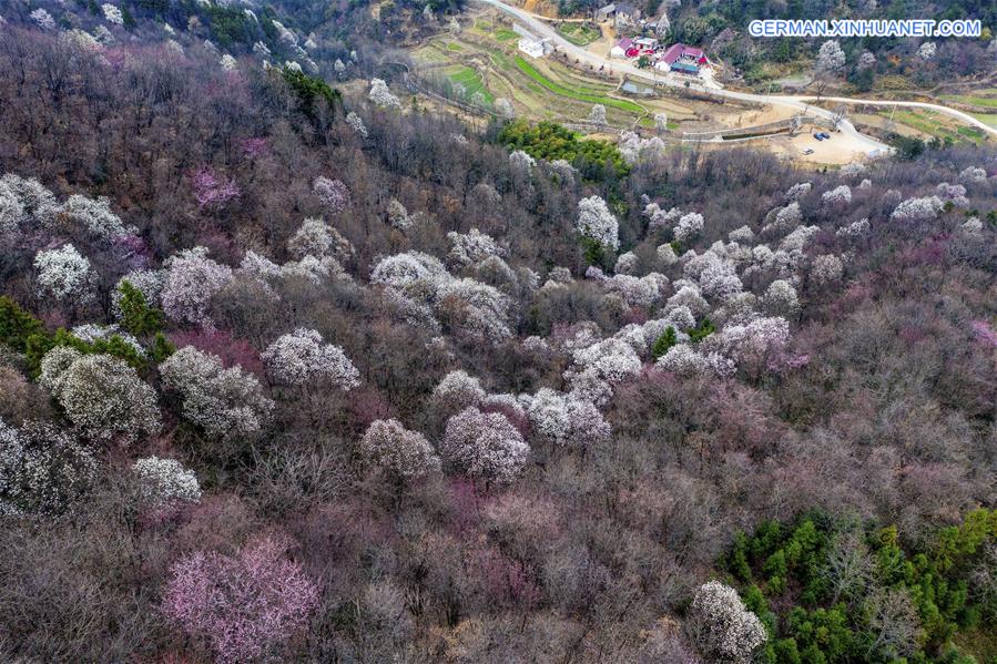 #CHINA-EARLY SPRING-FLOWERS (CN)