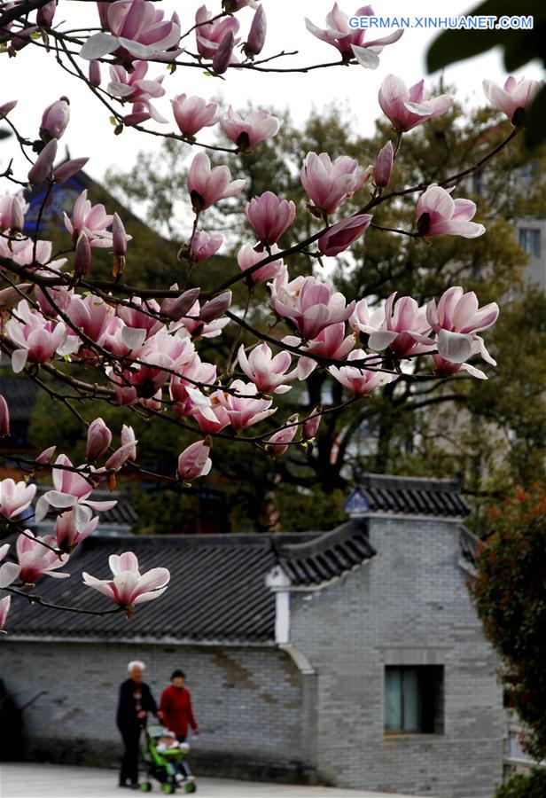 #CHINA-EARLY SPRING-FLOWERS (CN)