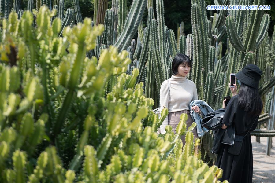 #CHINA-FUJIAN-XIAMEN-SUCCULENT PLANTS (CN)