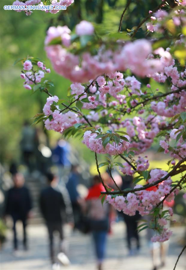 #CHINA-QINGMING FESTIVAL-HOLIDAY (CN)