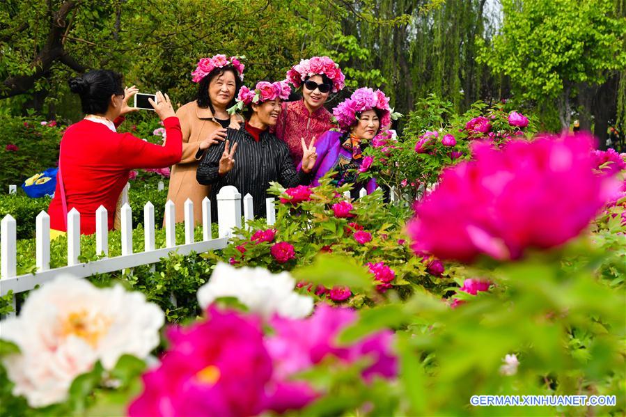 CHINA-SHANDONG-HEZE-PEONY-FLOWERS (CN)