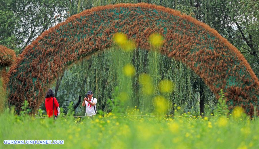 CHINA-SHENYANG-COLE FLOWERS(CN)