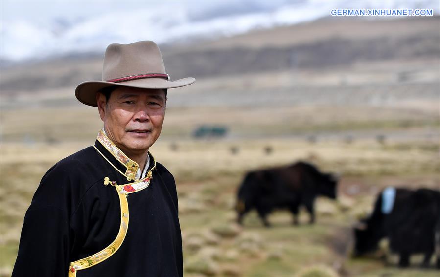 (InTibet) CHINA-TIBET-YAK-MUSEUM CURATOR (CN)