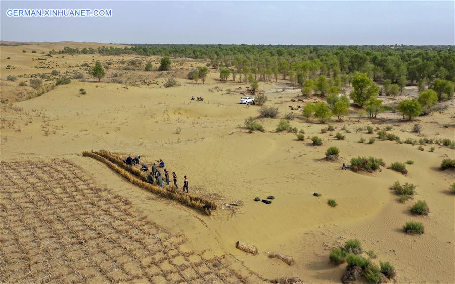 CHINA-XINJIANG-YULI-DESERT CONTROL (CN)