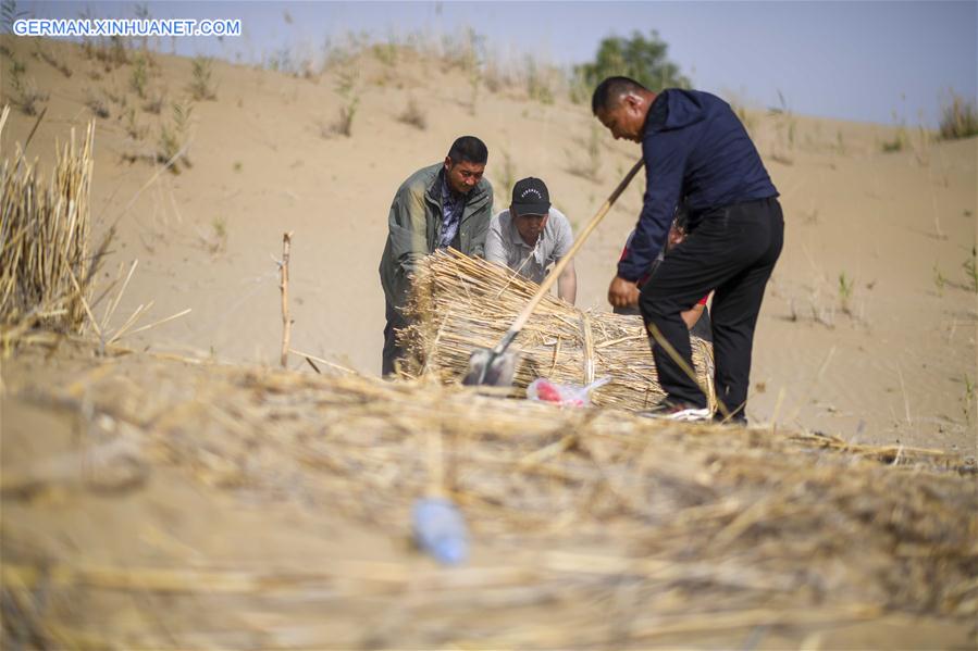 CHINA-XINJIANG-YULI-DESERT CONTROL (CN)