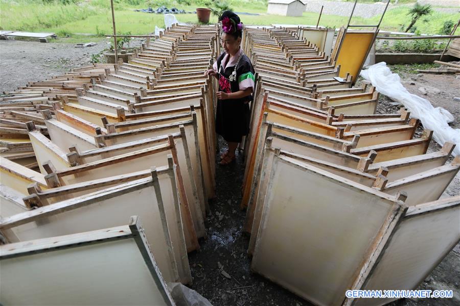 CHINA-GUIZHOU-DANZHAI-TRADITIONAL PAPER MAKING (CN)