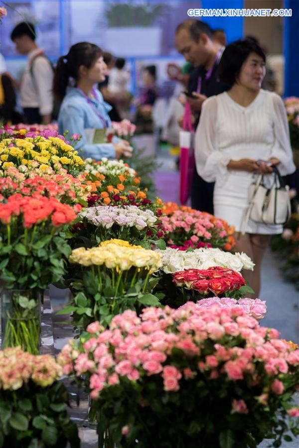 CHINA-KUNMING-FLOWER EXPO (CN)