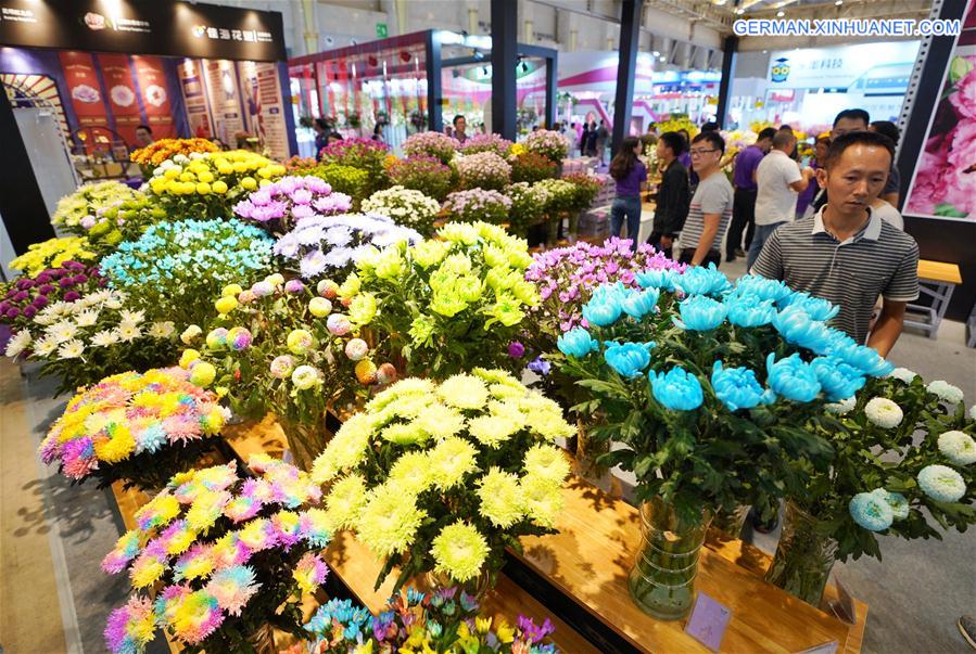 CHINA-KUNMING-FLOWER EXPO (CN)