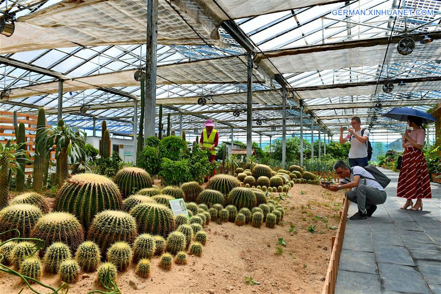 CHINA-FUJIAN-PV POWER-AGRICULTURAL GARDEN (CN)