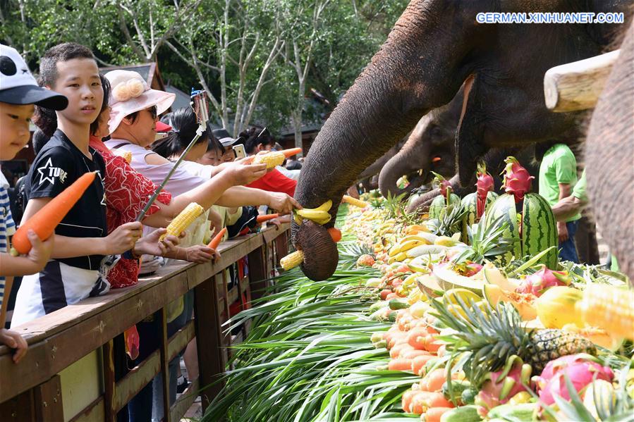 CHINA-YUNNAN-XISHUANGBANNA-ASIAN ELEPHANTS-CONSERVATION (CN)