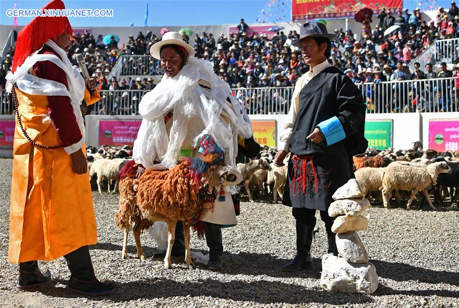 (InTibet)CHINA-TIBET-XIGAZE-SHEEP SHOW (CN)