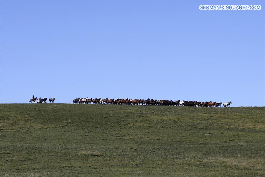 CHINA-GANSU-HORSE RANCH (CN)