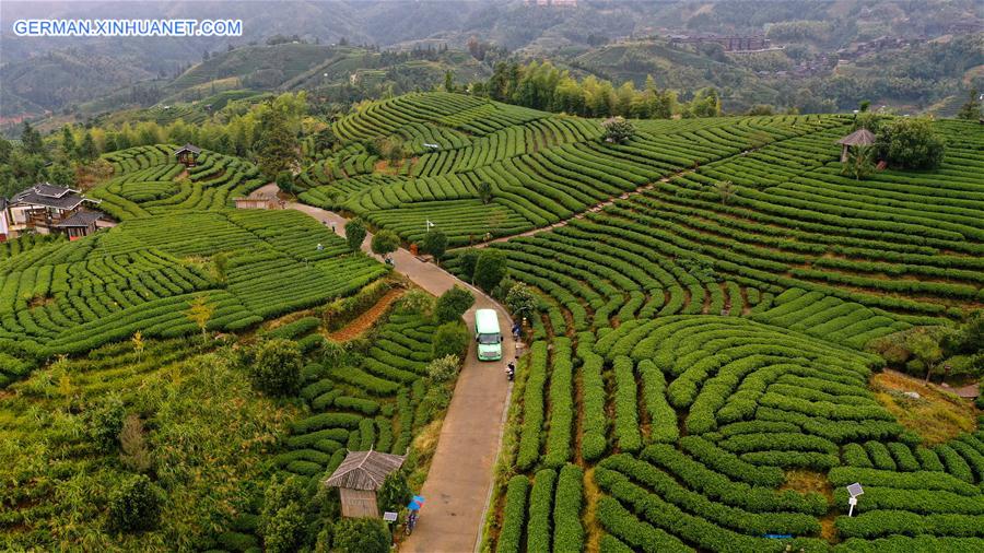 CHINA-GUANGXI-AUTUMN-AERIAL VIEW (CN)