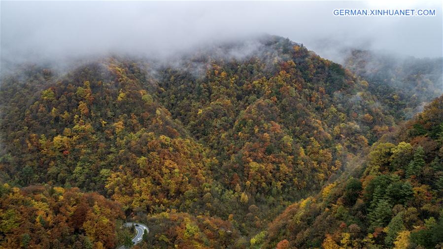 CHINA-HUBEI-SHENNONGJIA-AUTUMN SCENERY (CN)