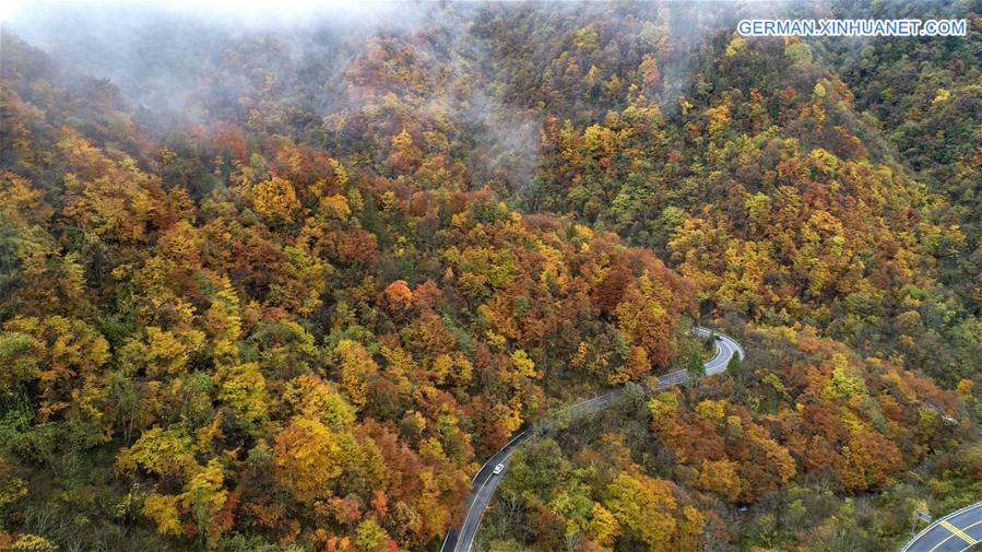 CHINA-HUBEI-SHENNONGJIA-AUTUMN SCENERY (CN)