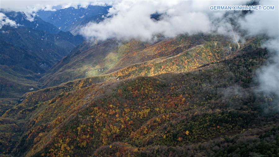 CHINA-HUBEI-SHENNONGJIA-AUTUMN SCENERY (CN)