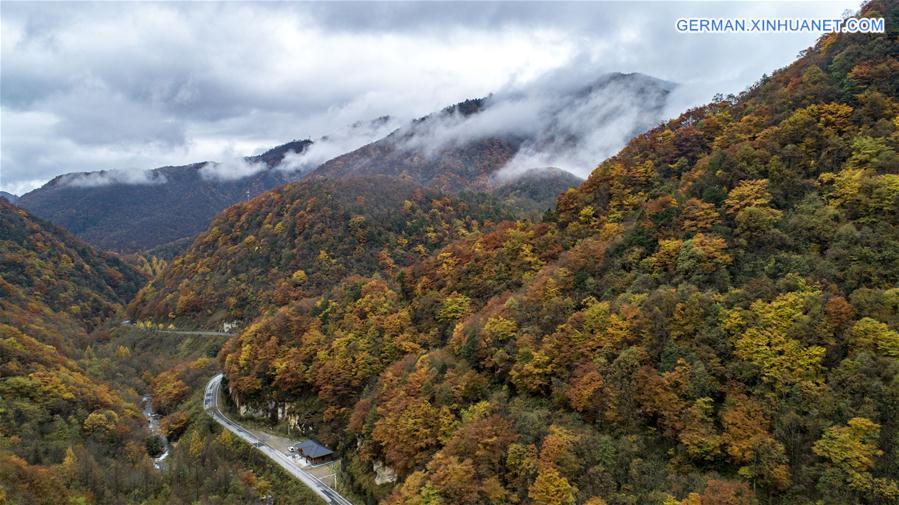 CHINA-HUBEI-SHENNONGJIA-AUTUMN SCENERY (CN)