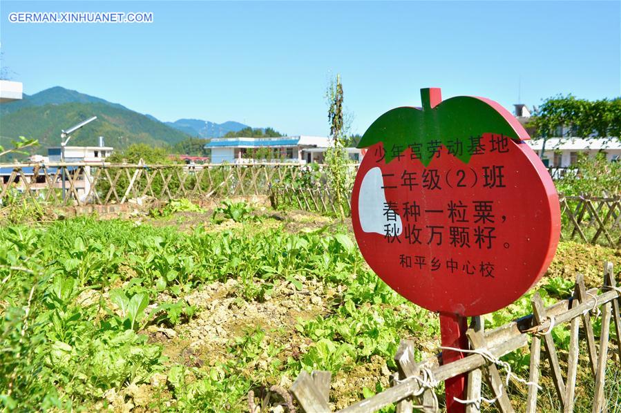 CHINA-GUANGXI-SANJIANG-RURAL EDUCATION DEVELOPMENT (CN)