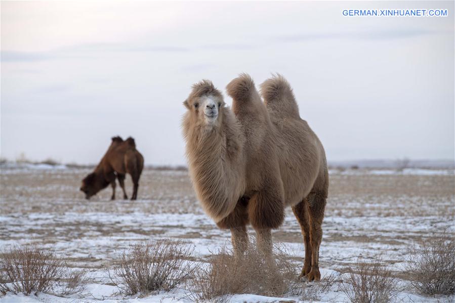 CHINA-XINJIANG-JEMINAY-STONE SCENIC SPOT (CN)