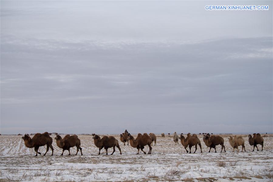 CHINA-XINJIANG-JEMINAY-STONE SCENIC SPOT (CN)