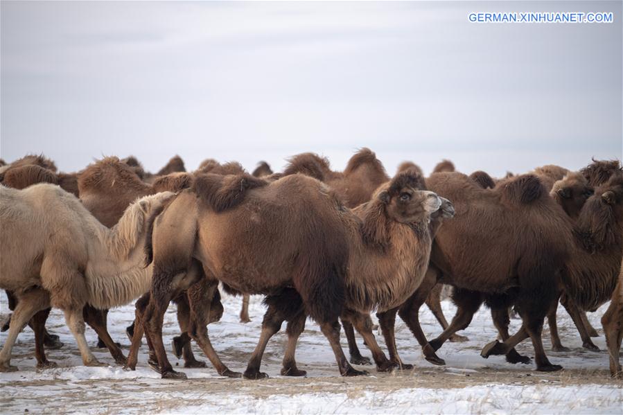 CHINA-XINJIANG-JEMINAY-STONE SCENIC SPOT (CN)