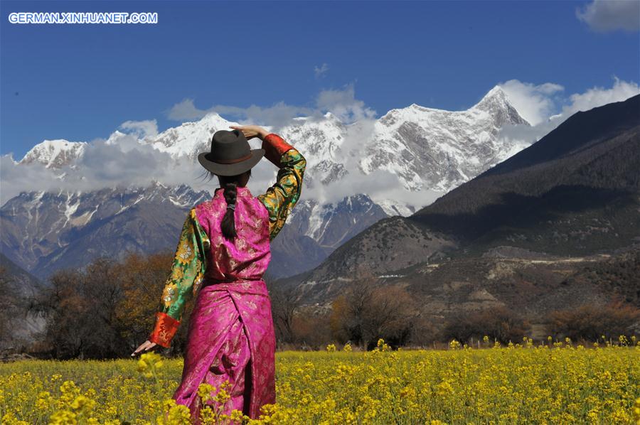CHINA-TIBET-COLE FLOWER (CN)