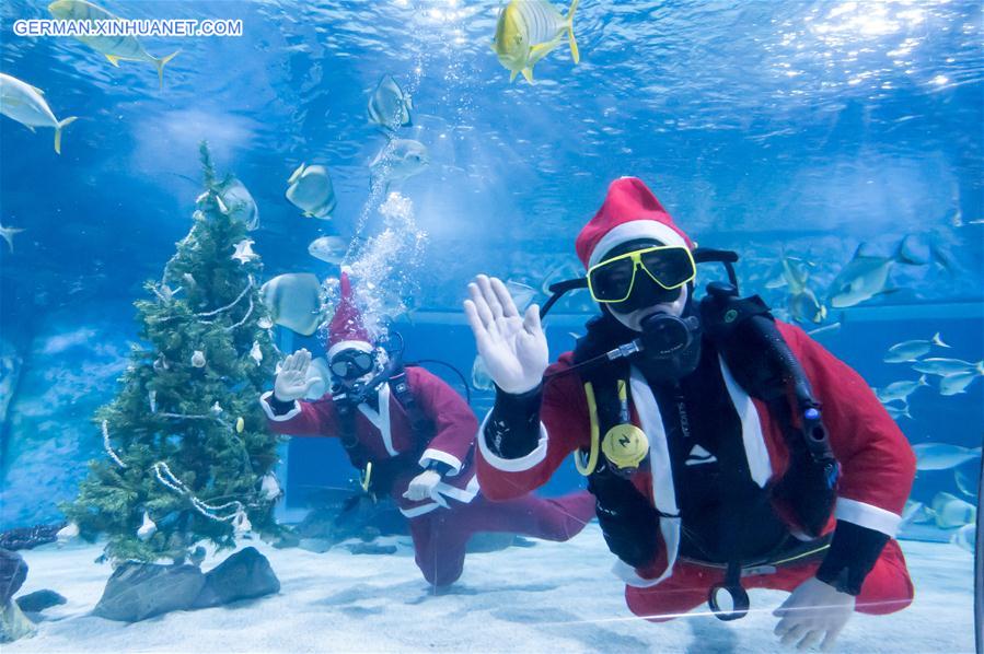 HUNGARY-BUDAPEST-SANTA DIVERS-CHRISTMAS TREE-DECORATION