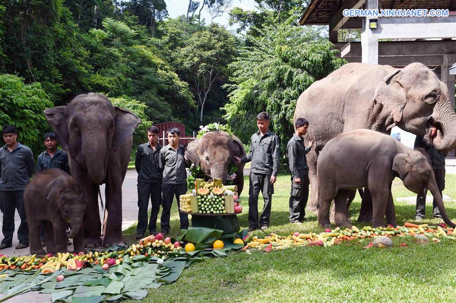 (FOCUS) CHINA-YUNNAN-XISHUANGBANNA-ASIAN ELEPHANT-CONSERVATION (CN)