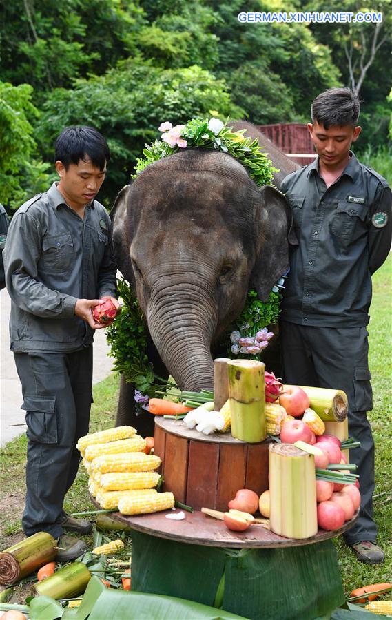 (FOCUS) CHINA-YUNNAN-XISHUANGBANNA-ASIAN ELEPHANT-CONSERVATION (CN)