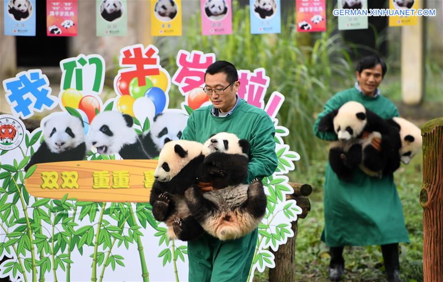 CHINA-CHONGQING-GIANT PANDA CUBS-CELEBRATION  (CN)