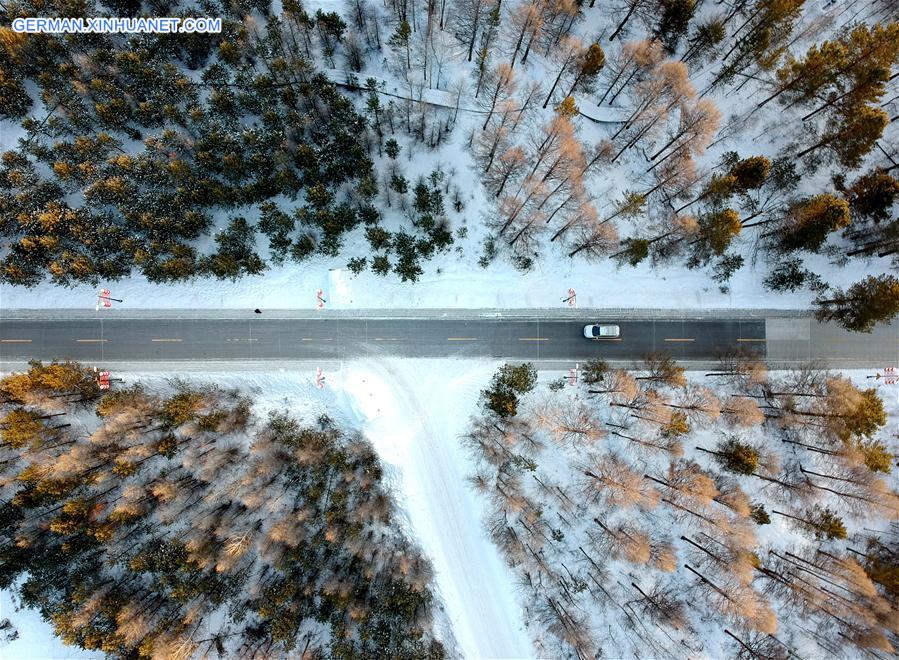 #CHINA-HEILONGJIANG-MOHE-WINTER SCENERY (CN)