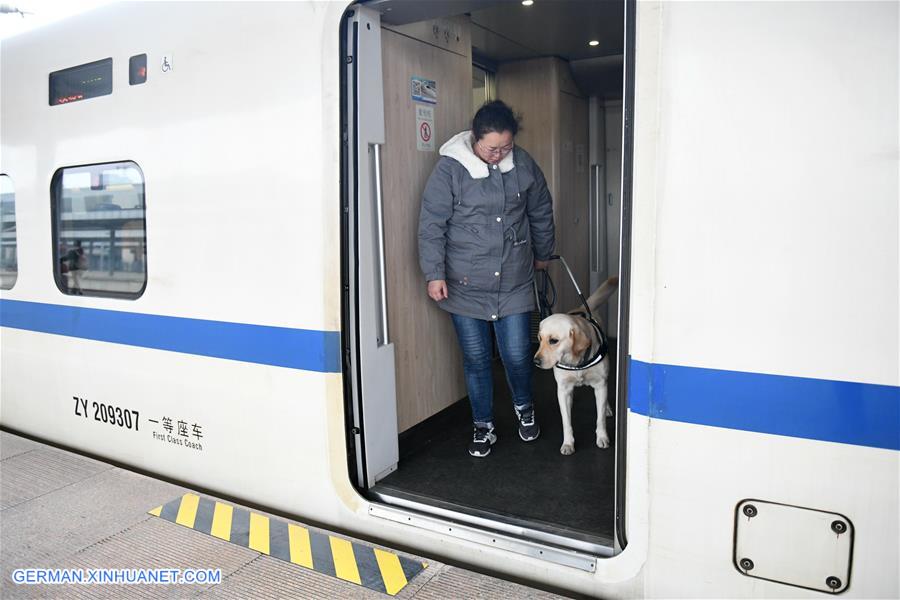 CHINA-SHAANXI-XI'AN-GUIDE DOG-SPRING FESTIVAL TRAVEL RUSH (CN)