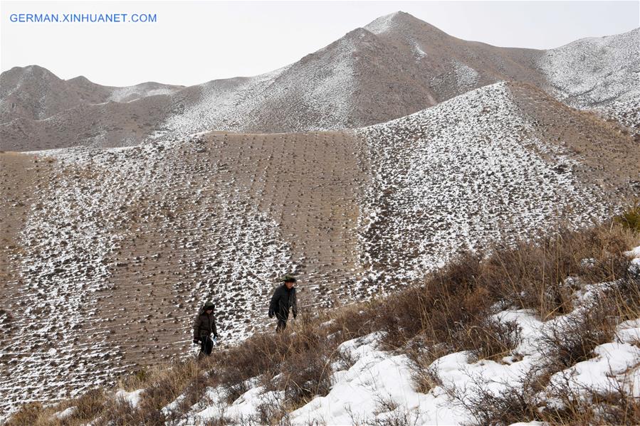 CHINA-GANSU-QILIAN MOUNTAINS-FOREST PROTECTION (CN)