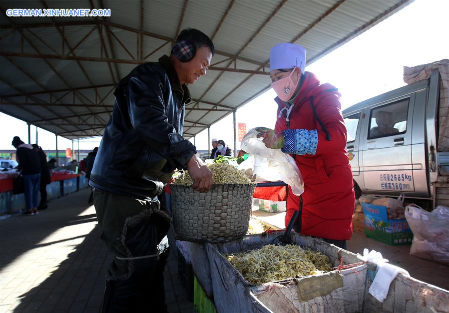 CHINA-NINGXIA-YINCHUAN-SPRING FESTIVAL MARKET (CN)