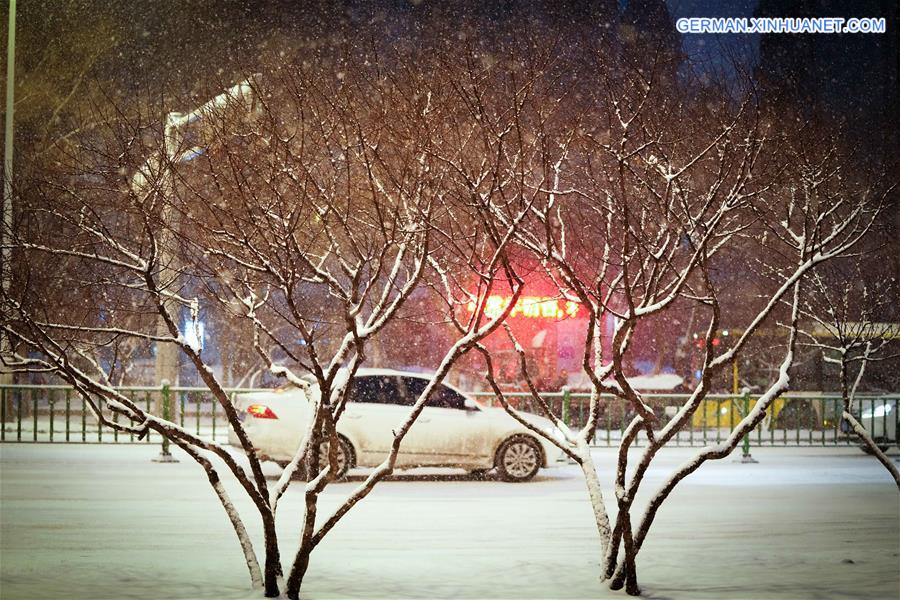 CHINA-HEILONGJIANG-HARBIN-SNOW(CN)