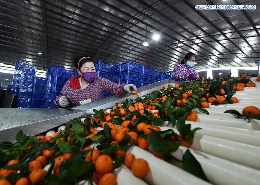 CHINA-GUANGXI-PRODUCTION RESUMPTION (CN)