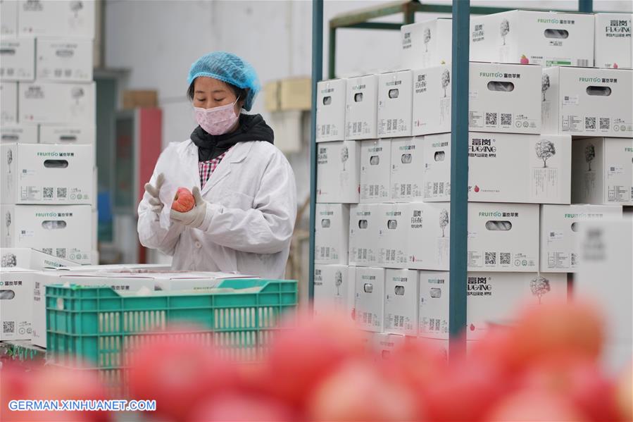 CHINA-HEBEI-POVERTY RELIEF-PRODUCTION RESUMPTION (CN)