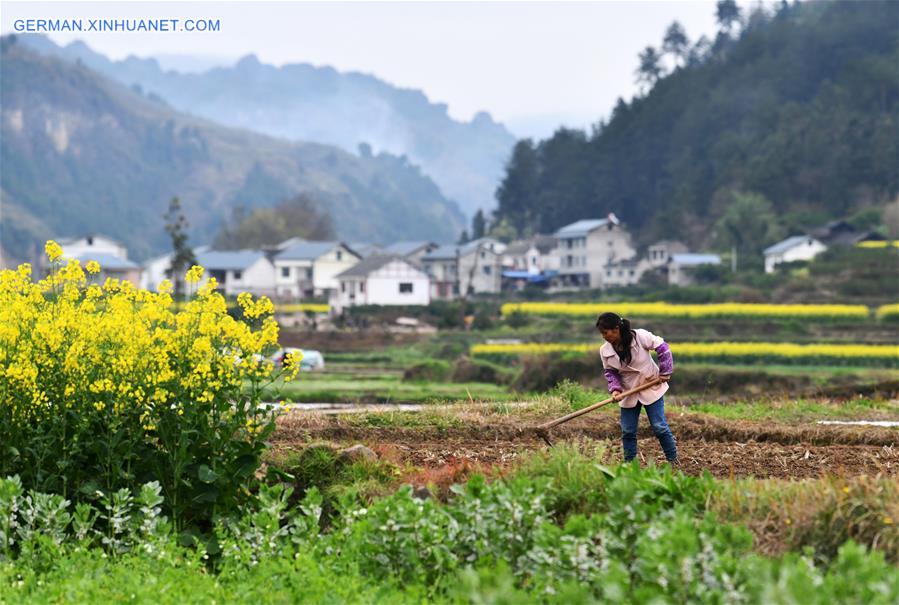 CHINA-GUIZHOU-SPRING-AGRICULTURE (CN)