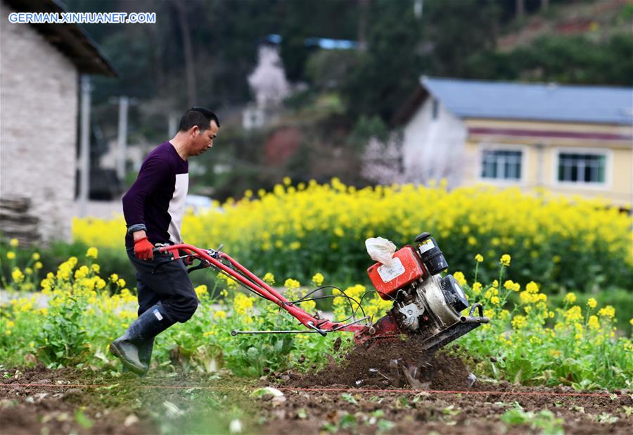 CHINA-GUIZHOU-SPRING-AGRICULTURE (CN)