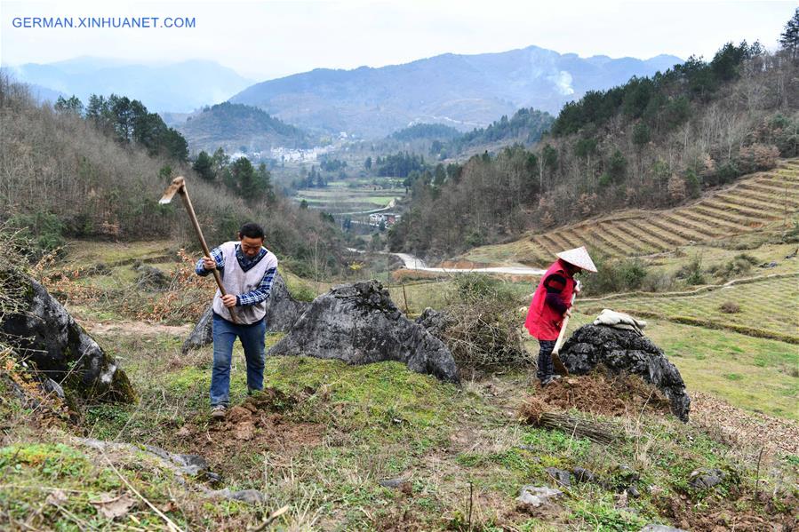 CHINA-GUIZHOU-SPRING-AGRICULTURE (CN)