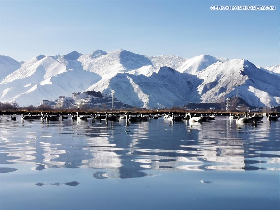 CHINA-TIBET-LHASA-SNOW SCENERY (CN)