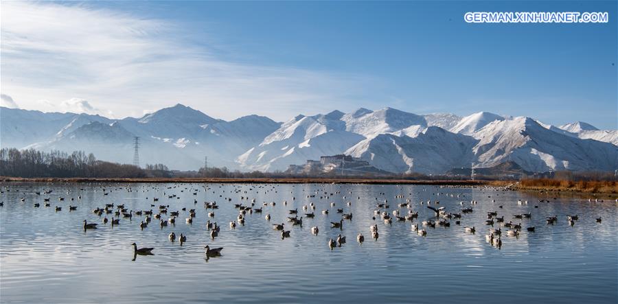 CHINA-TIBET-LHASA-SNOW SCENERY (CN)