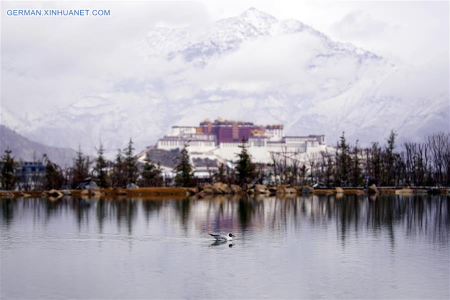 (InTibet)CHINA-LHASA-POTALA PALACE-SNOW (CN)