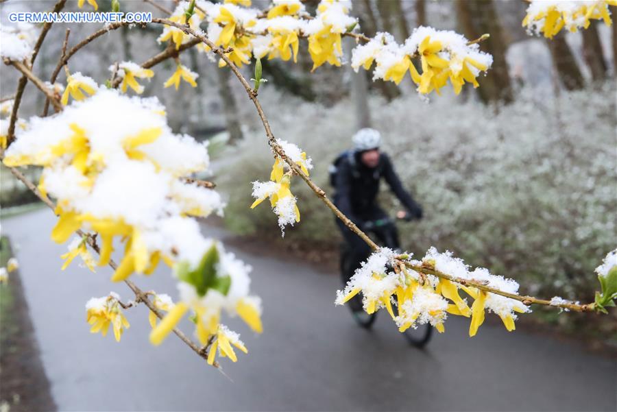 GERMANY-BERLIN-SNOW