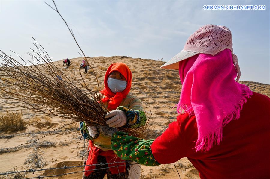 CHINA-INNER MONGOLIA-TENGGER DESERT-DESERTIFICATION CONTROL (CN)